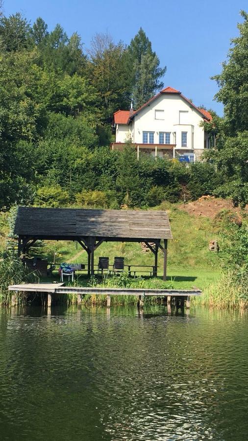 Villa The Dutchman Brodnica Dolna Екстер'єр фото