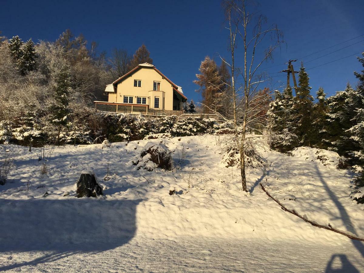 Villa The Dutchman Brodnica Dolna Екстер'єр фото